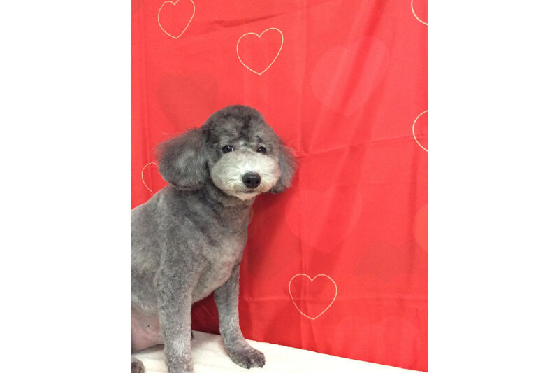 画像10020