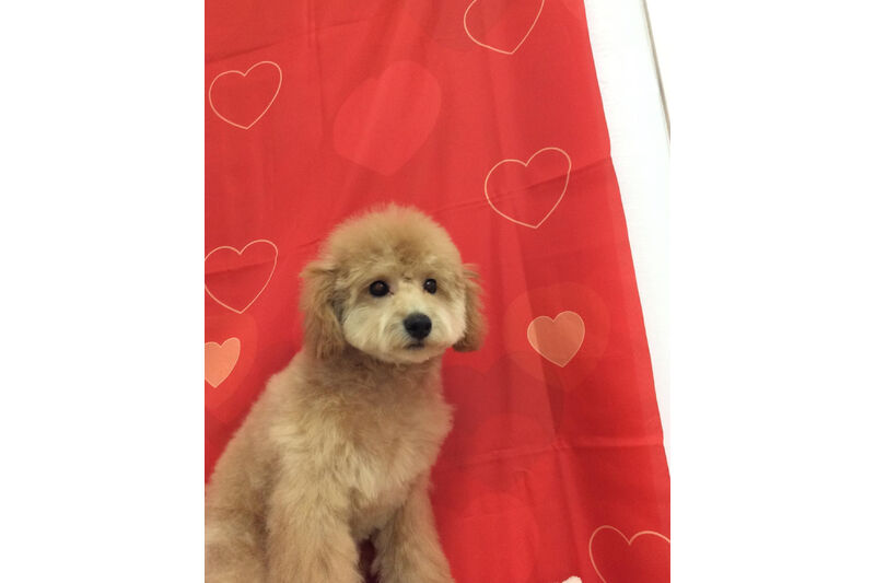 画像10032