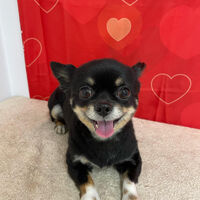 画像10192