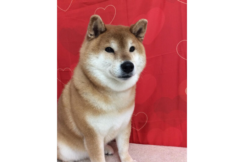 画像10211