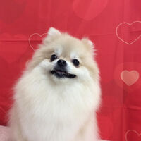 画像10319