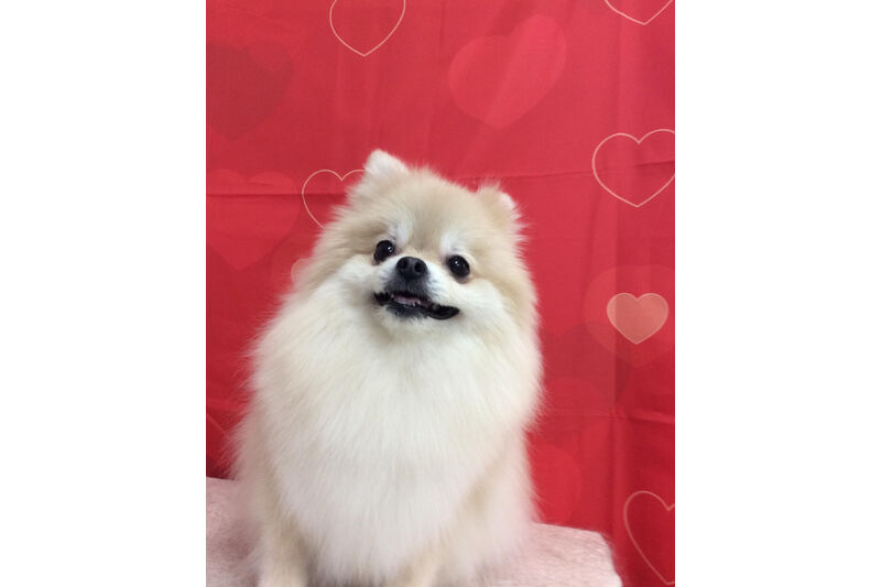 画像10319