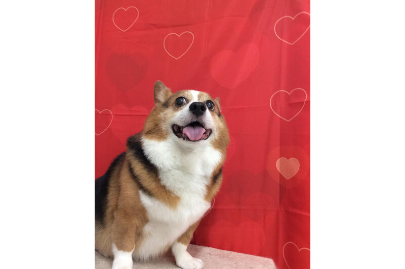 画像10325