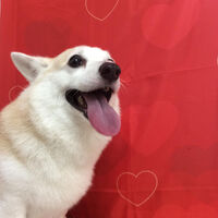 画像10326