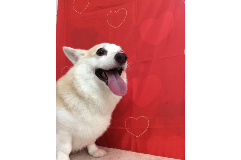 画像10326