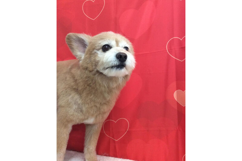 画像10330