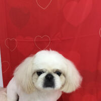 画像10339