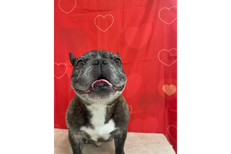 画像10353