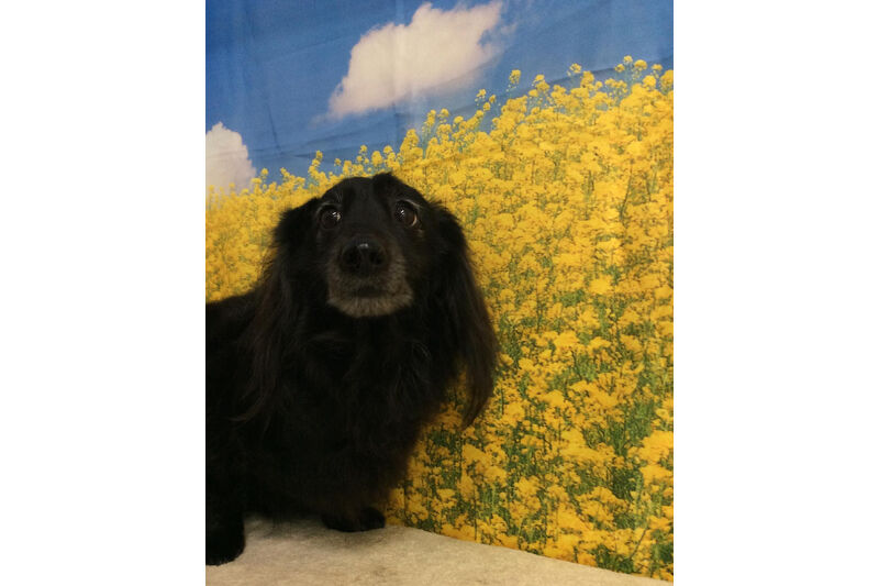 画像10701