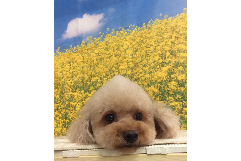 画像10709