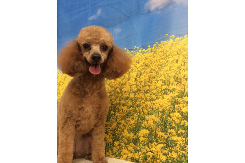 画像10742