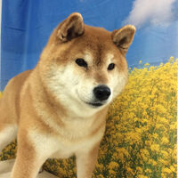 画像10748