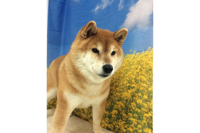 画像10748