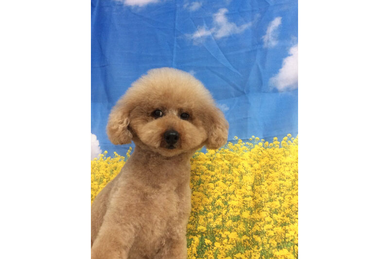 画像11008