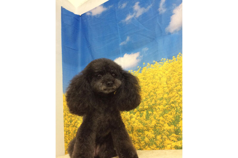 画像11053