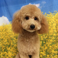画像11093