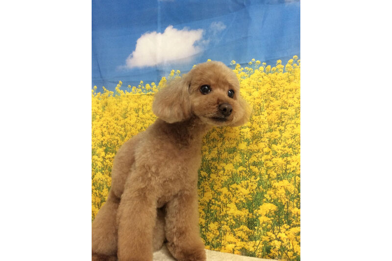 画像11121