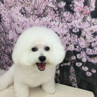 画像11207