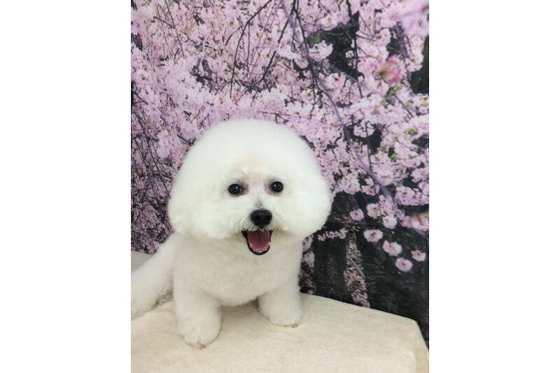 画像11207