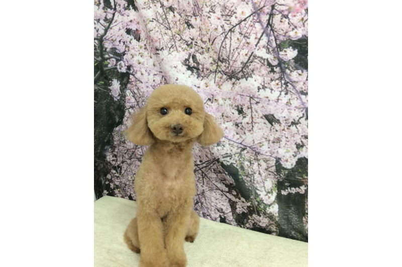 画像11235