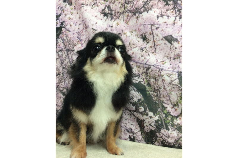 画像11248