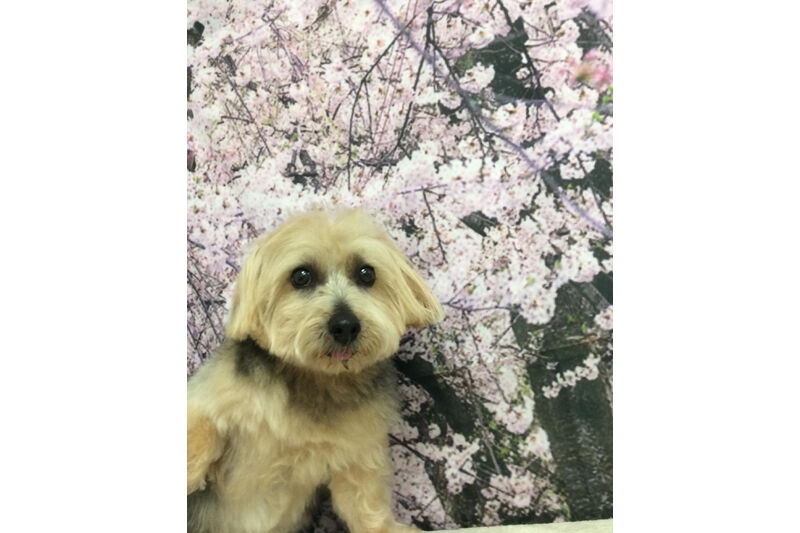 画像11252