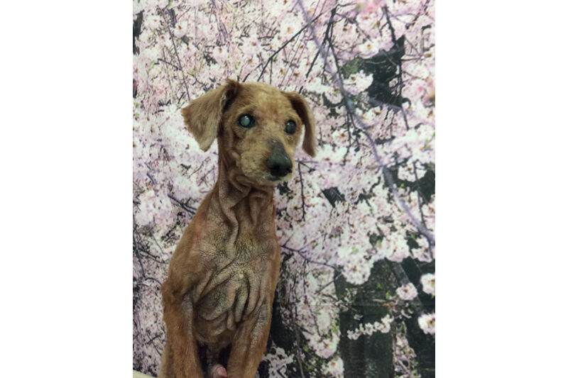 画像11293