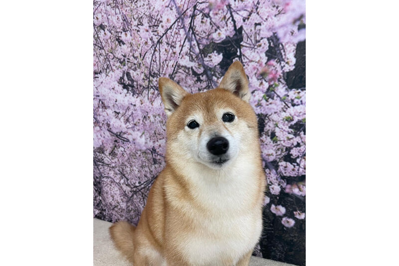 画像11297