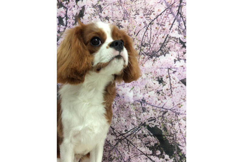 画像11299