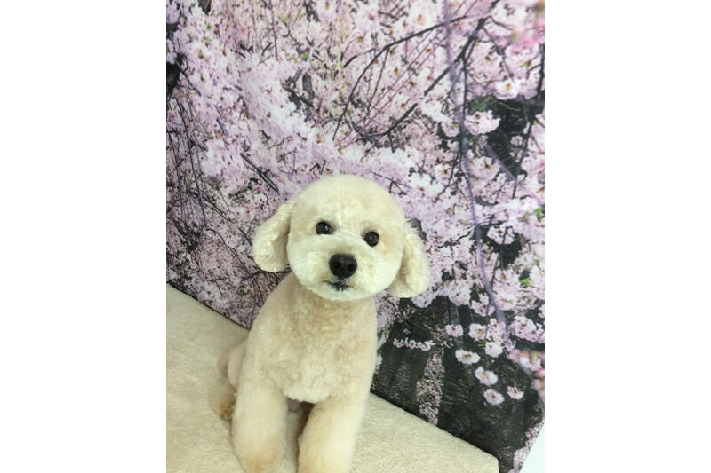 画像11301