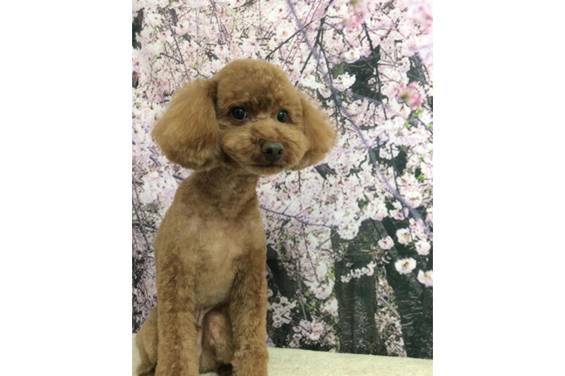 画像11305