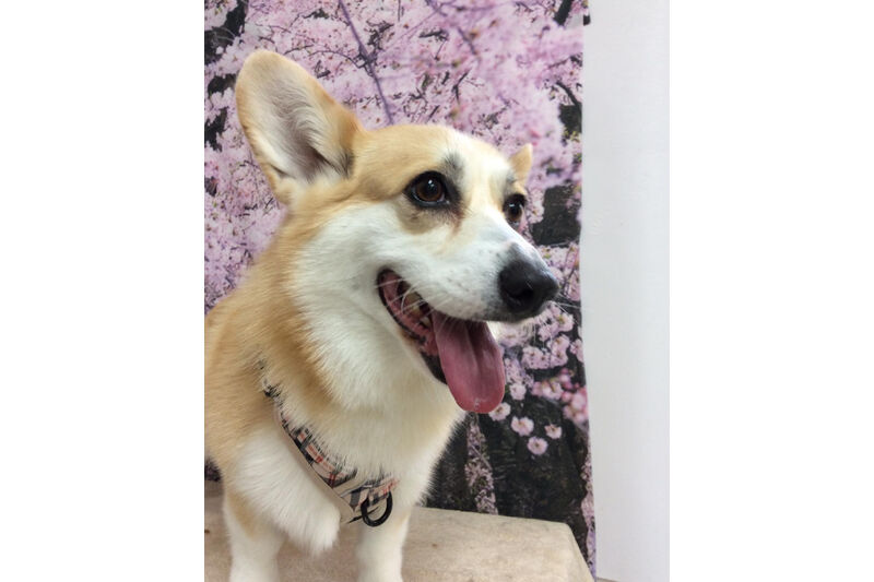 画像11307