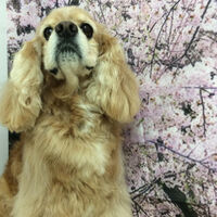 画像11309