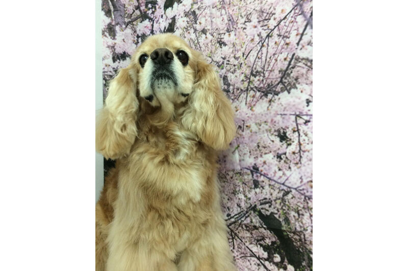 画像11309