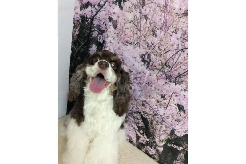 画像11315