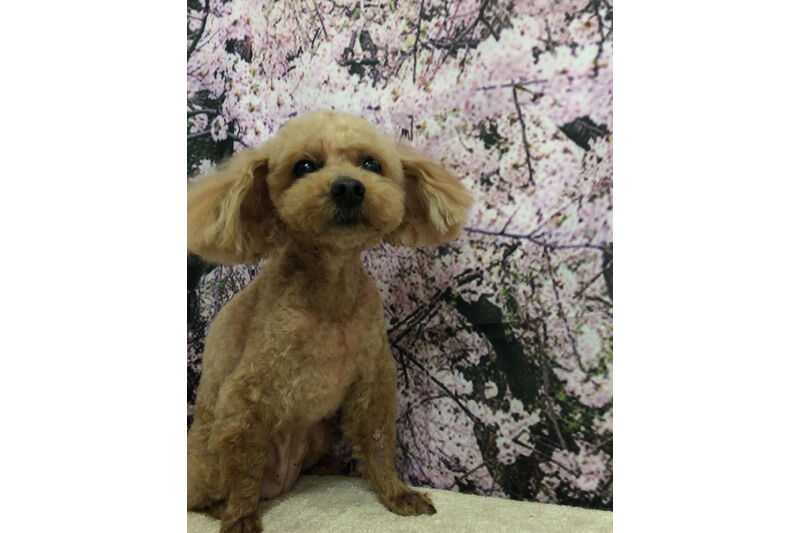 画像11319