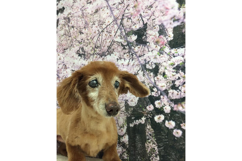 画像11327