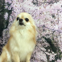 画像11329