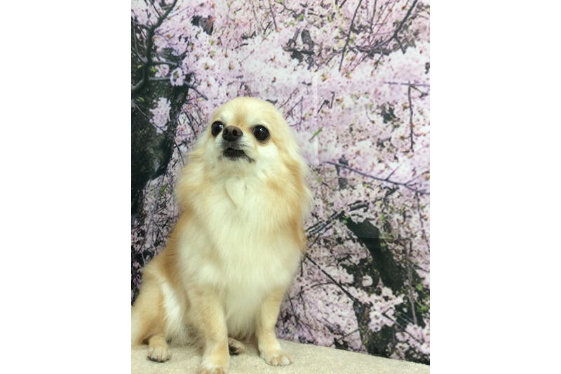 画像11329