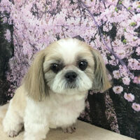 画像11333