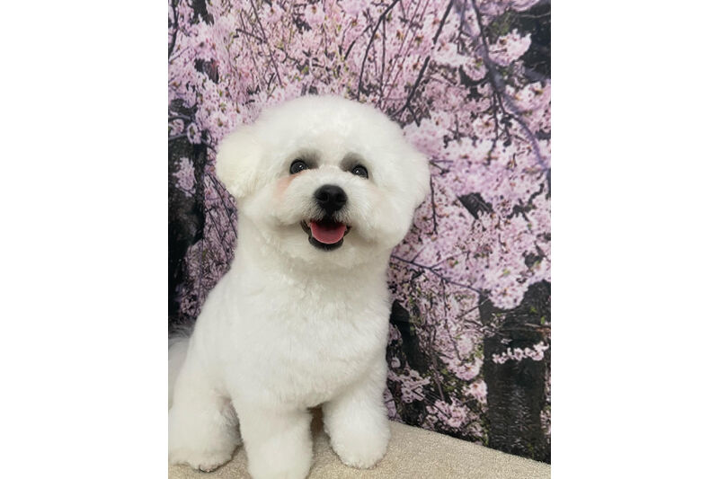 画像11335