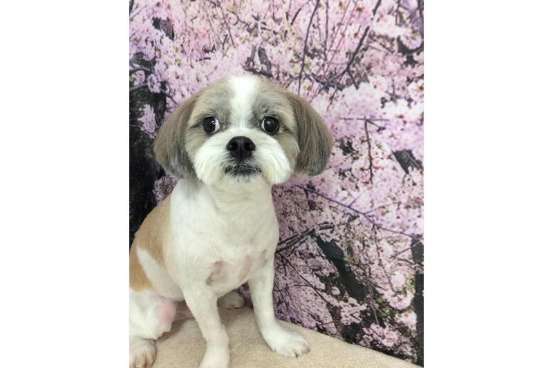 画像11343