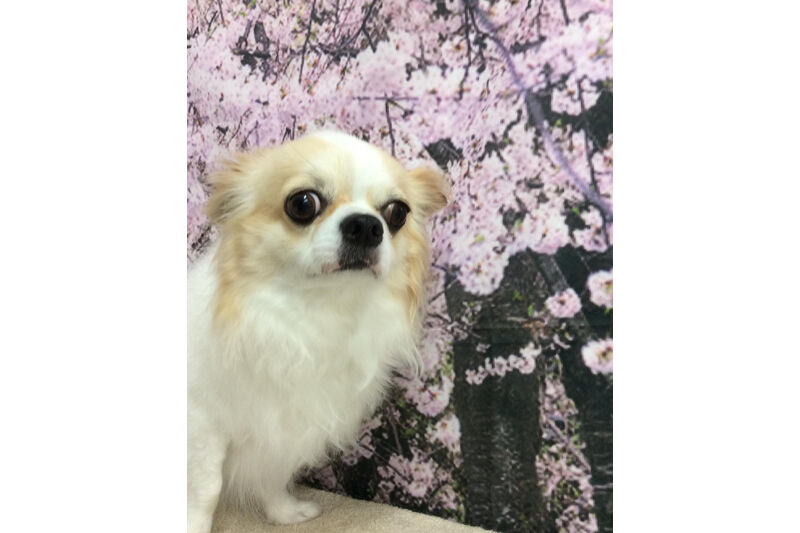 画像11345