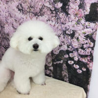 画像11357