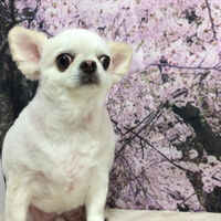 画像11373