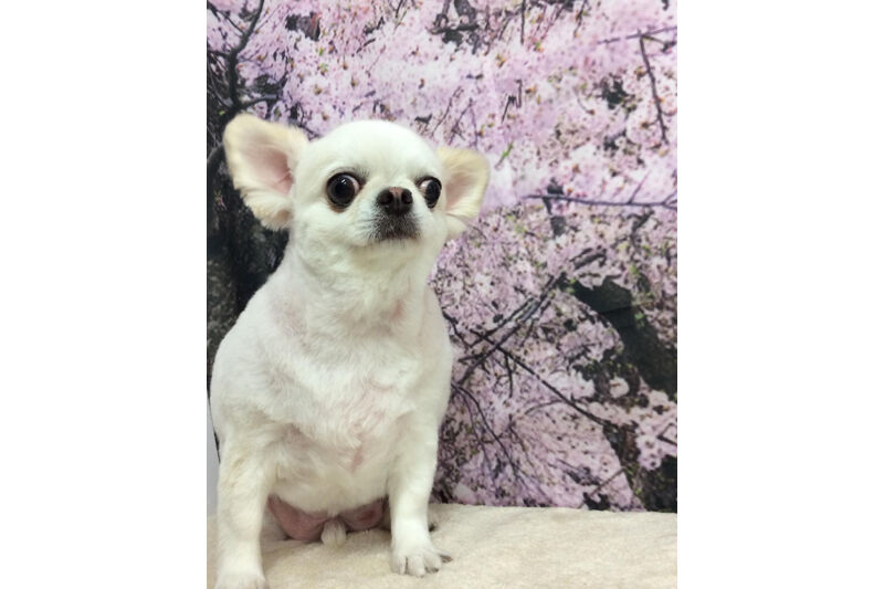 画像11373