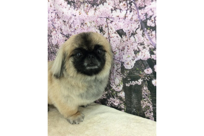 画像11377