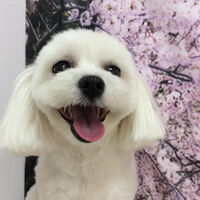 画像11403