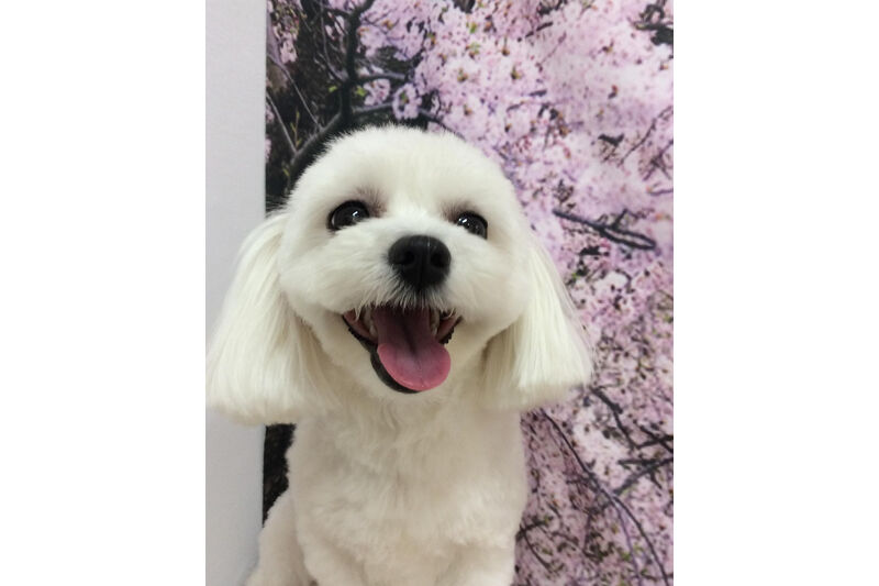 画像11403