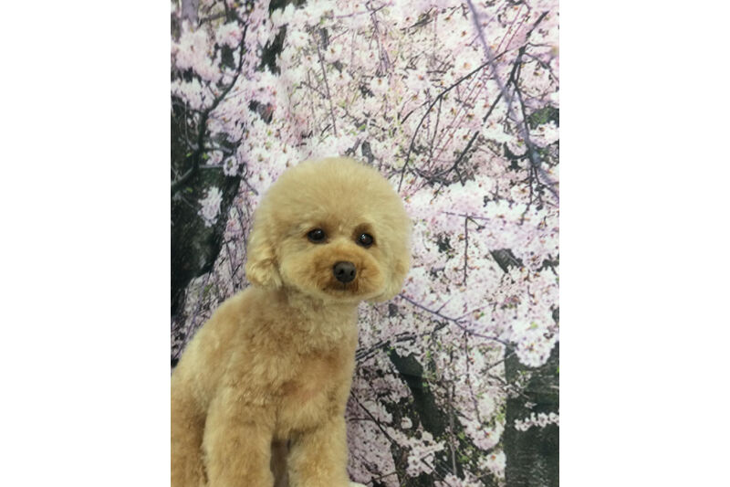 画像11427
